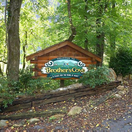Mountain Magic #73 Villa Sevierville Eksteriør billede